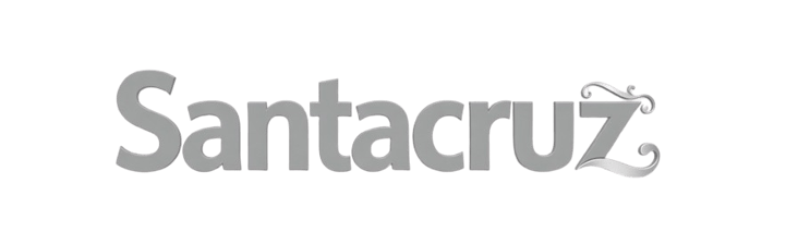 santacruz banner